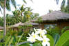 Amanda Resort 